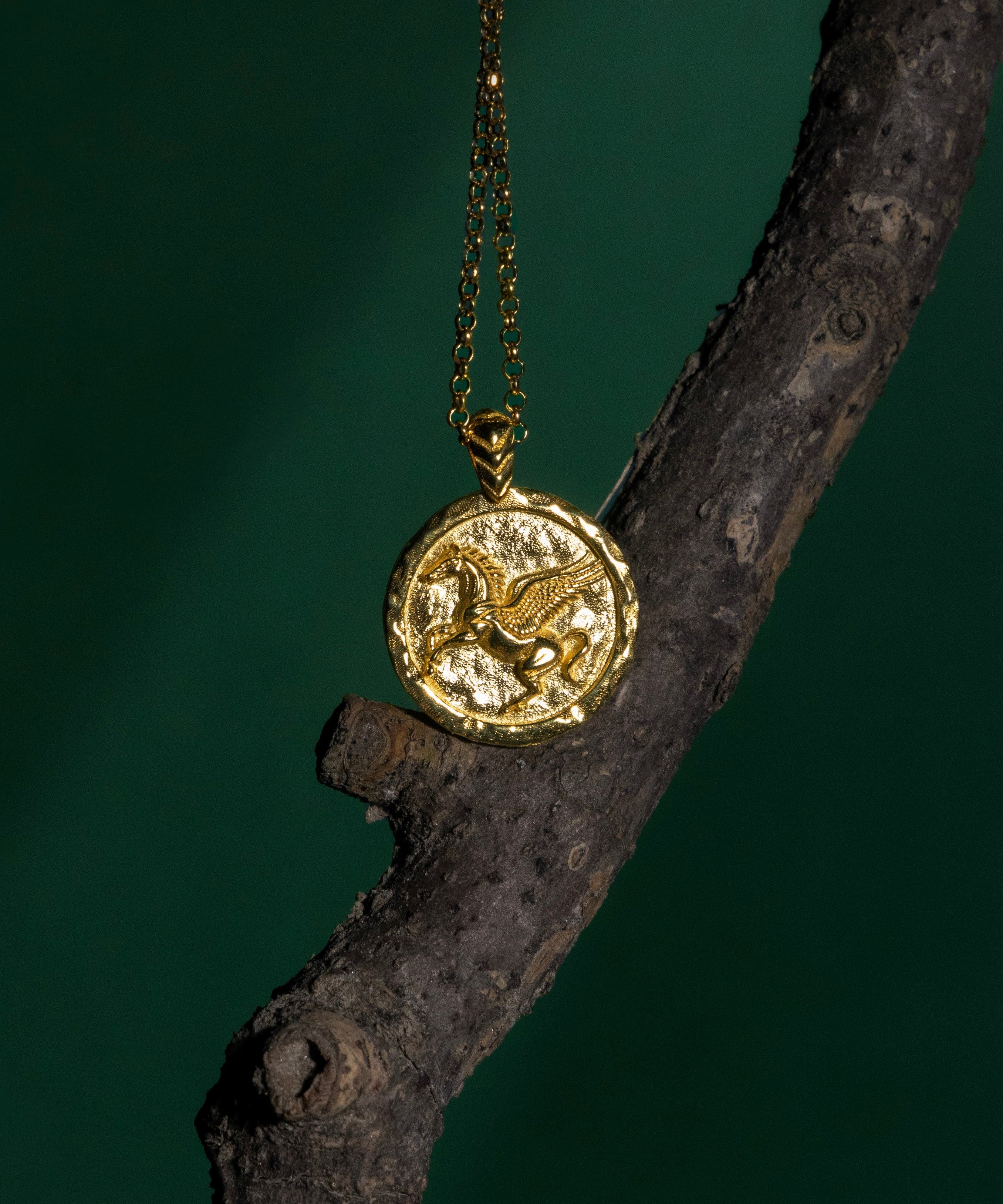 Gold necklace with a pendant hanging on a dark branch against a dark background