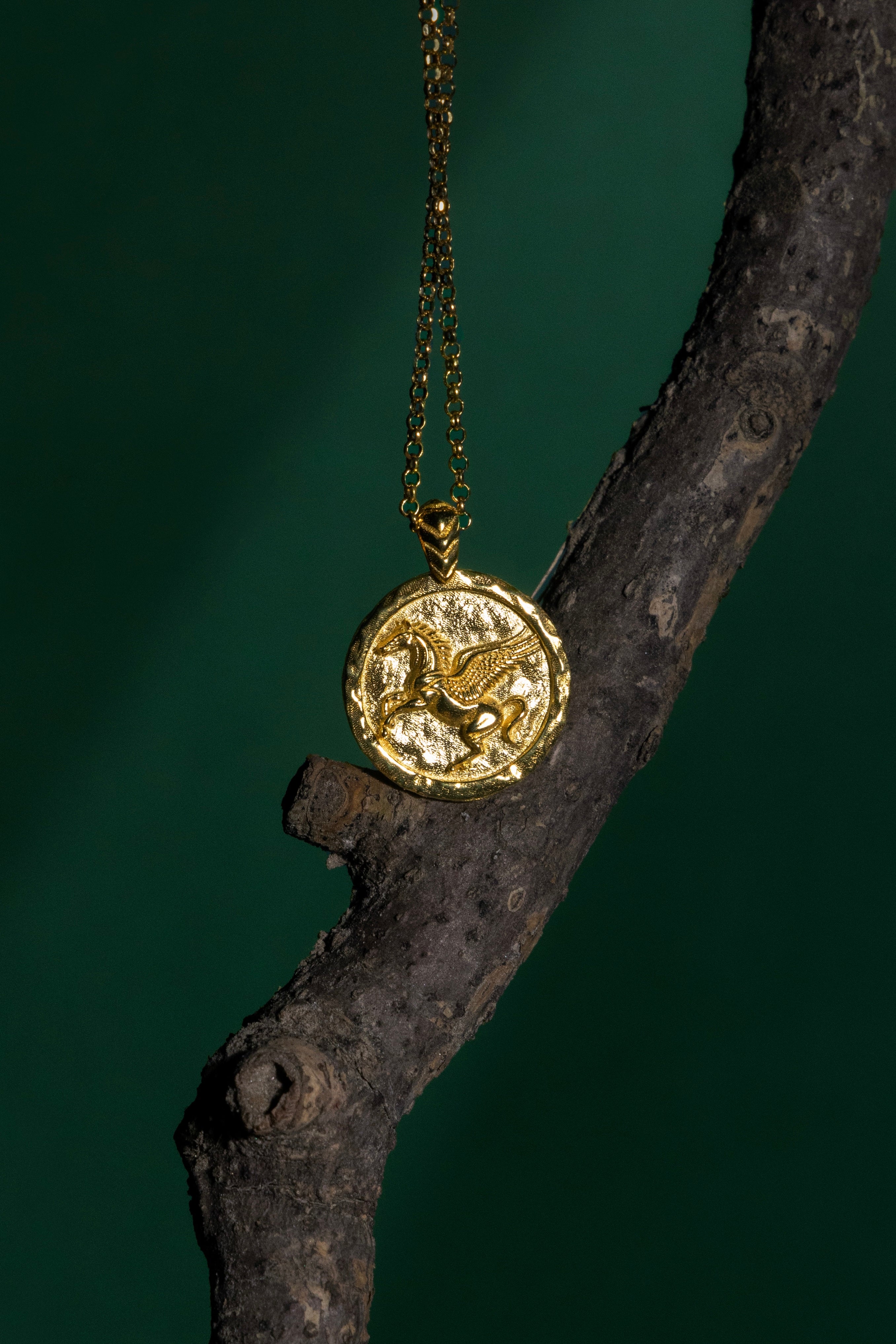 Gold necklace with a pendant hanging on a dark branch against a dark background