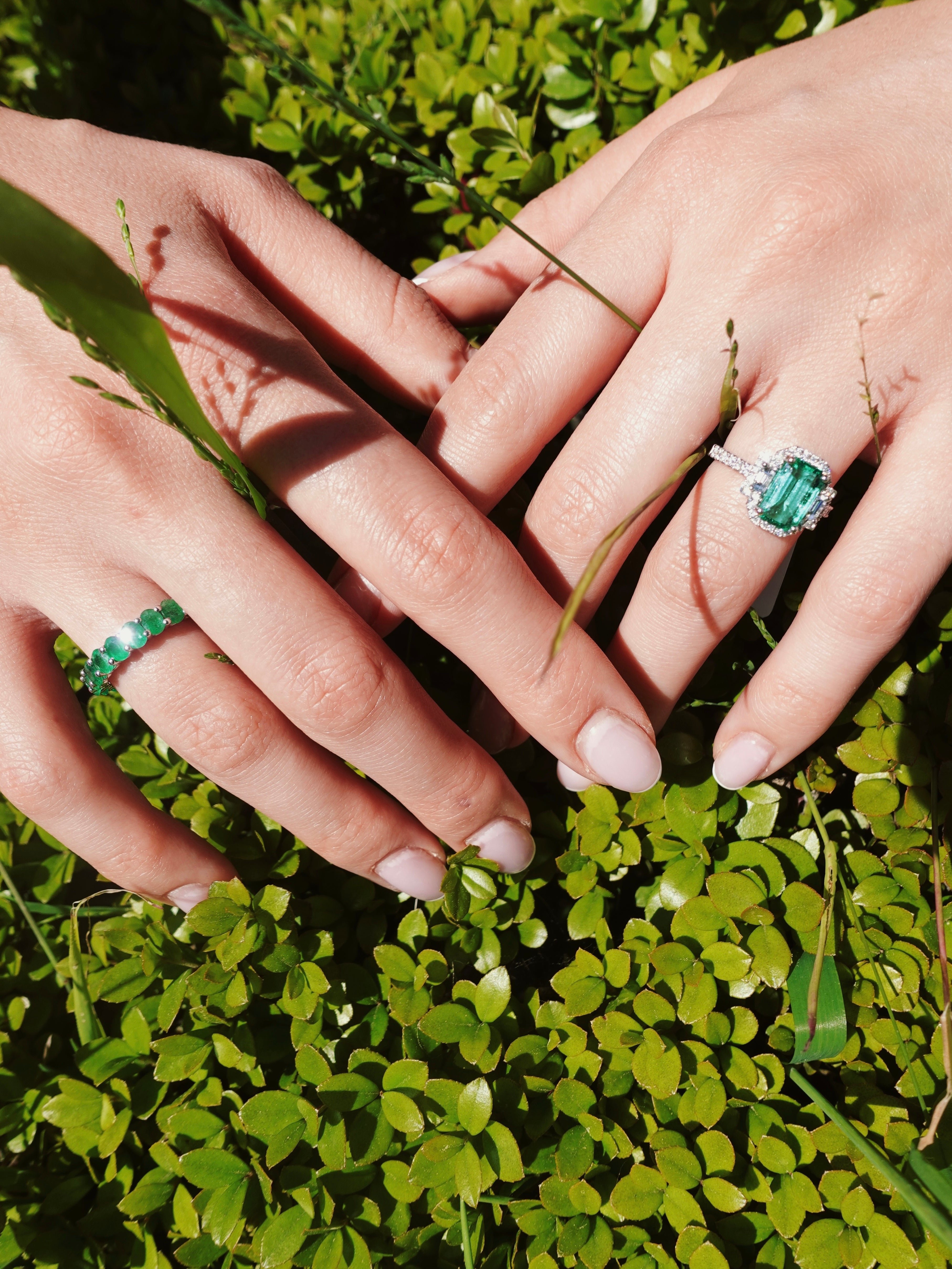 Two hands with green gemstone rings on a green leafy background