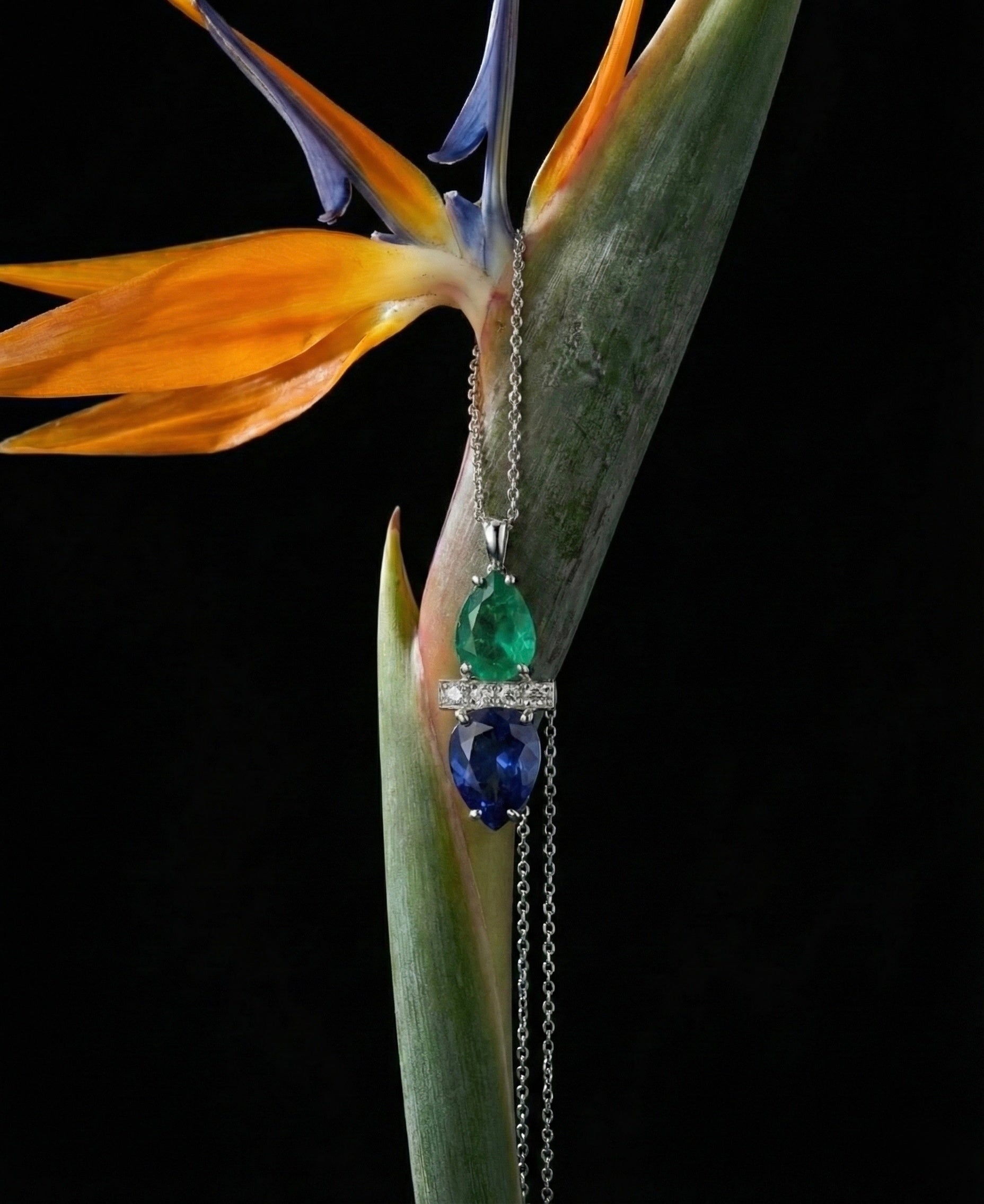 Jewelry with emerald and sapphire stones hanging from a bird of paradise flower against a black background