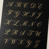 Calligraphy alphabet on a black background