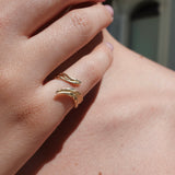 Close-up of a hand wearing gold ring on a blurred background
