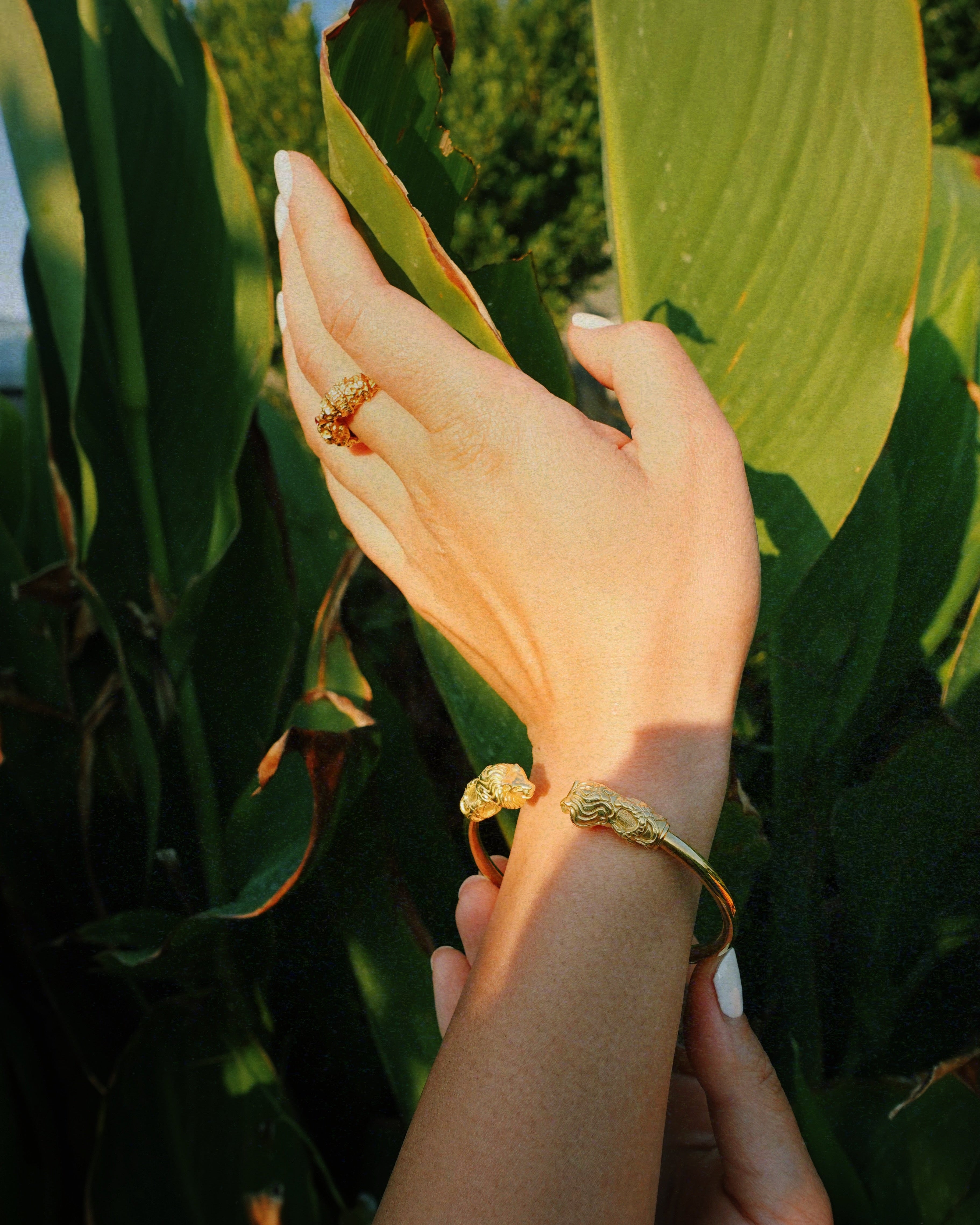 A person's hand and wrist wearing a gold lion cuff bracelet and a gold ring, posed against a background of large green corn leaves in warm natural sunlight.