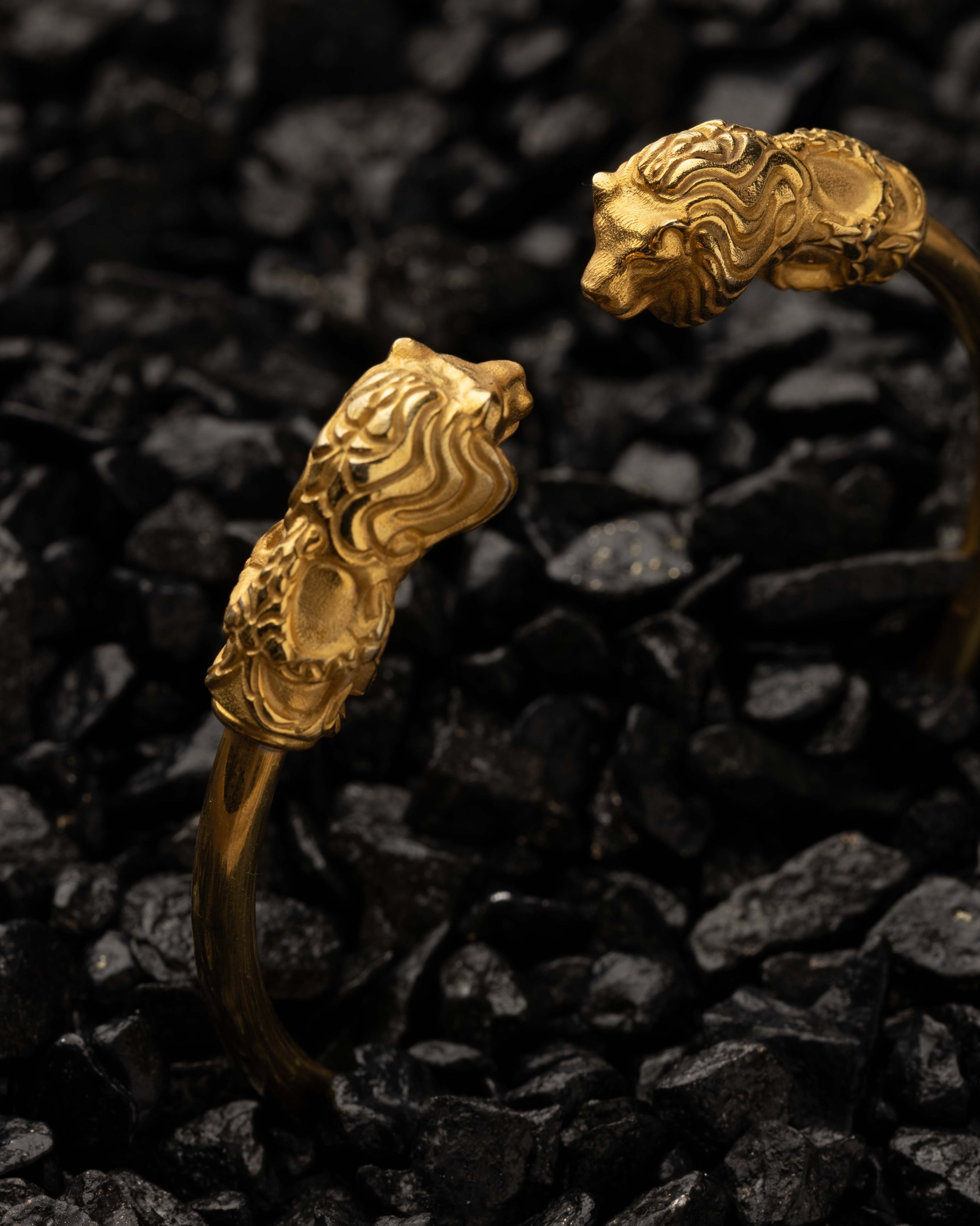 Gold bracelet with lion head designs on a dark textured background