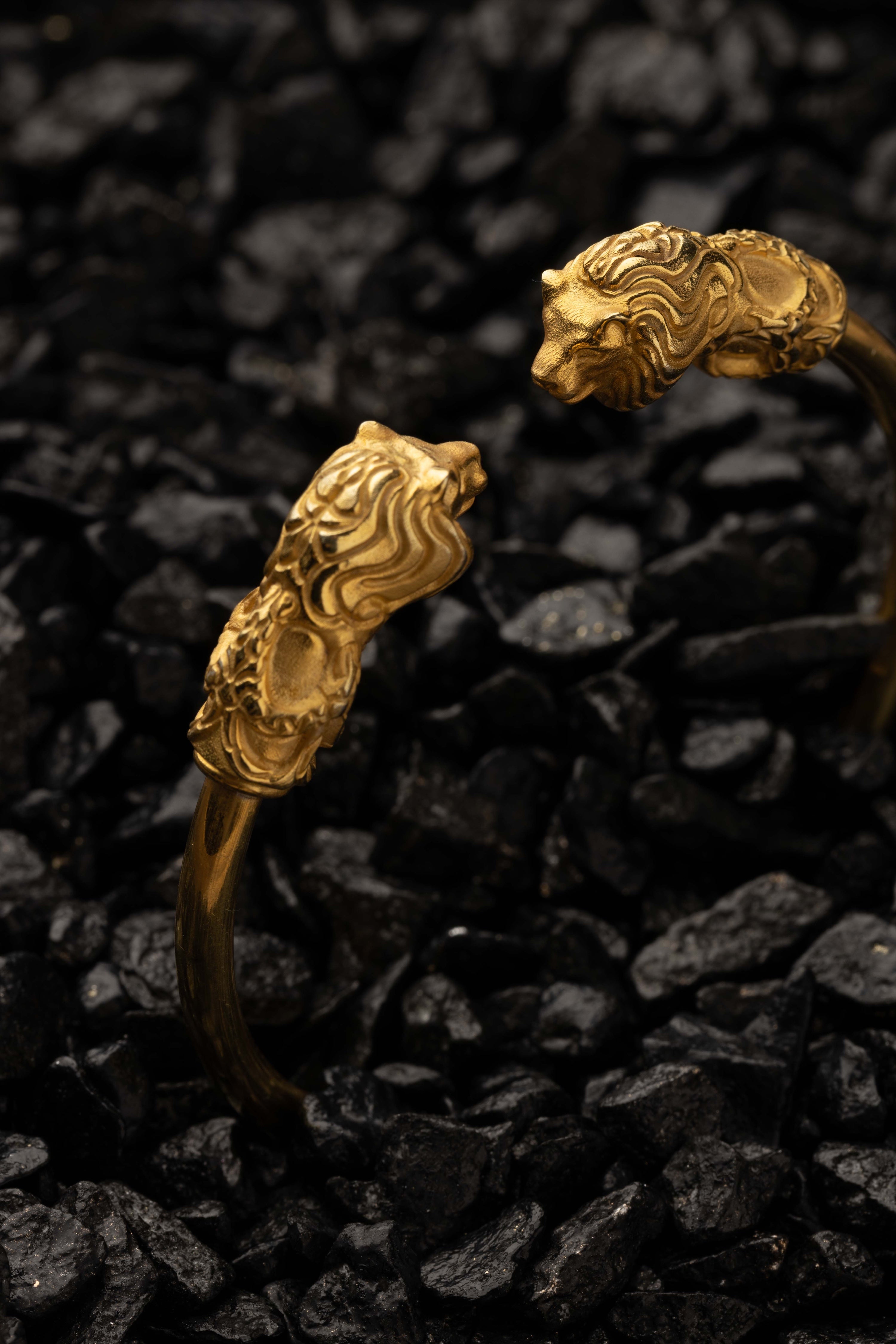 Gold bracelet with lion head designs on a dark textured background