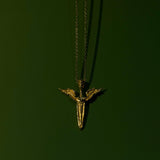 Gold necklace with a shark tooth pendant on a dark green background